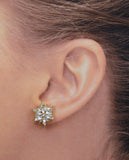 Crystal Starburst Earrings-Shine Like a Star