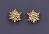 Crystal Starburst Earrings-Shine Like a Star