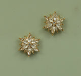 Crystal Starburst Earrings-Shine Like a Star