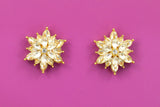 Crystal Starburst Earrings-Shine Like a Star