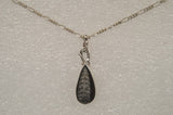 Orthoceras Fossil Sterling Silver Pendant