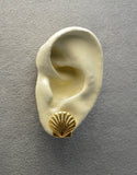 14 mm Scallop Shell Gold or Nickle Plated Magnetic or Pierced Earrings - Laura Wilson Gallery 