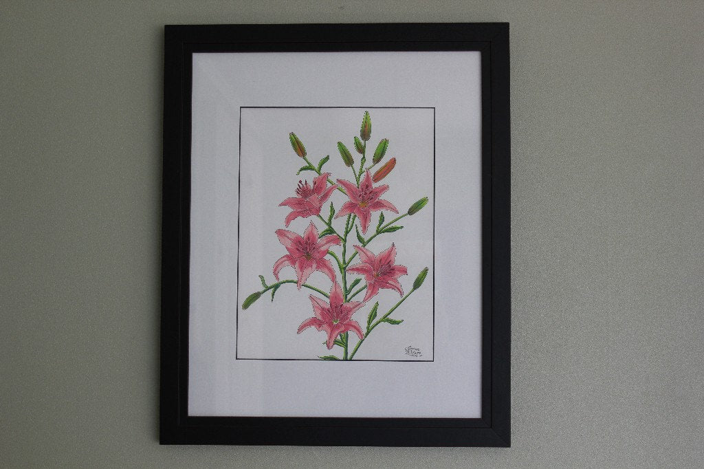 pencil drawings of tiger lilies Pink Tiger Lily Original Pencil Drawing – LauraWilsonGallery