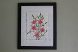 Pink Tiger Lily Original Pencil Drawing - Laura Wilson Gallery 