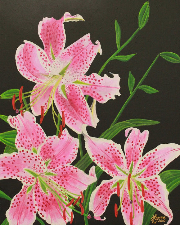 Stargazer Lily Original Acrylic Painting on Stretched Canvas - Laura Wilson Gallery 