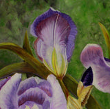 Four Irises Original Acrylic Painting On Canvas - Laura Wilson Gallery 