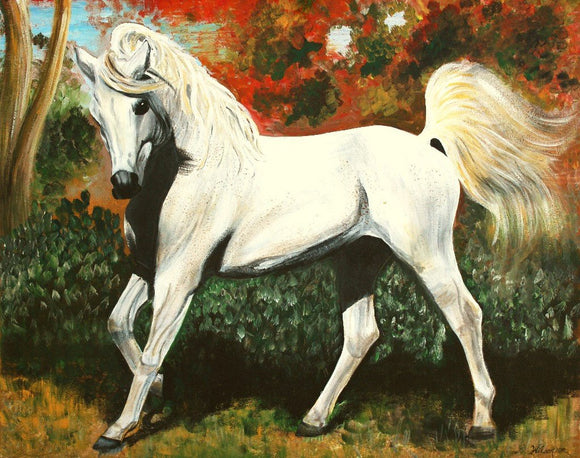 Little Arabian Horse 24 x 30 Inch Original Acrylic Painting on Canvas - Laura Wilson Gallery 