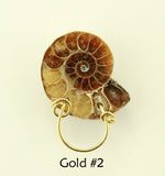 Ammonite Fossil Magnetic Eyeglass Holders With Gold Wire Lanyard - Laura Wilson Gallery 
