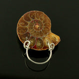 3 Different Ammonite Fossil Magnetic Eyeglass Holders With Silver Wire Lanyard - Laura Wilson Gallery 