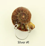 3 Different Ammonite Fossil Magnetic Eyeglass Holders With Silver Wire Lanyard - Laura Wilson Gallery 