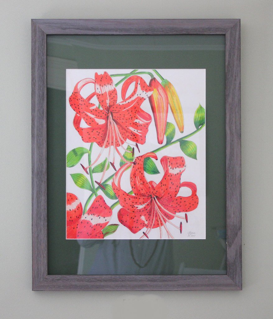 pencil drawings of tiger lilies Orange Tiger Lily Original Drawing in Pen and Colored Pencil