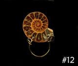 Ammonite Fossil Magnetic Eyeglass Holders With Brown Wire Lanyard - Laura Wilson Gallery 