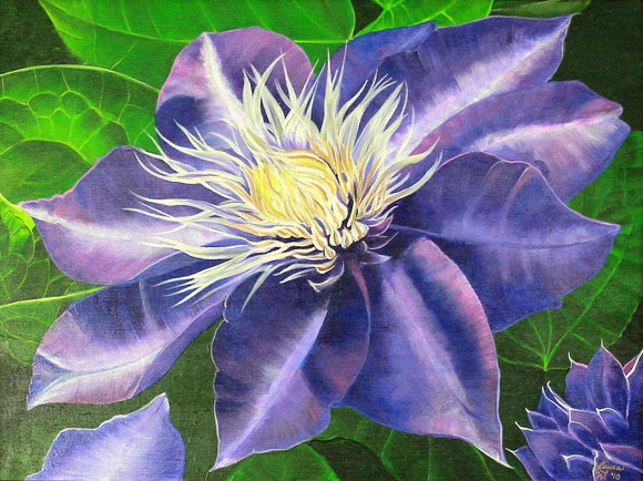 Purple Clematis Original Acrylic Painting on Canvas - Laura Wilson Gallery 