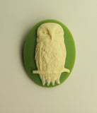 Handmade Ivory Colored Resin Owl on Green Oval Magnetic Brooch or Eyeglass Holder - Laura Wilson Gallery 