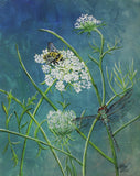 Queen Anne's Lace, Bumblebee and Dragonfly Original  Acrylic Painting on Canvas Board - Laura Wilson Gallery 