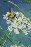 Queen Anne's Lace, Bumblebee and Dragonfly Original  Acrylic Painting on Canvas Board - Laura Wilson Gallery 