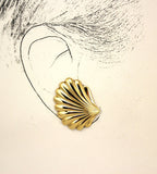 Scallop Shell Magnetic or Pierced Earrings 20 x 35 mm - Laura Wilson Gallery 