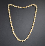 Faux Cream 6mm Pearl 16 Inch Necklace With Gold Clasp - Laura Wilson Gallery 